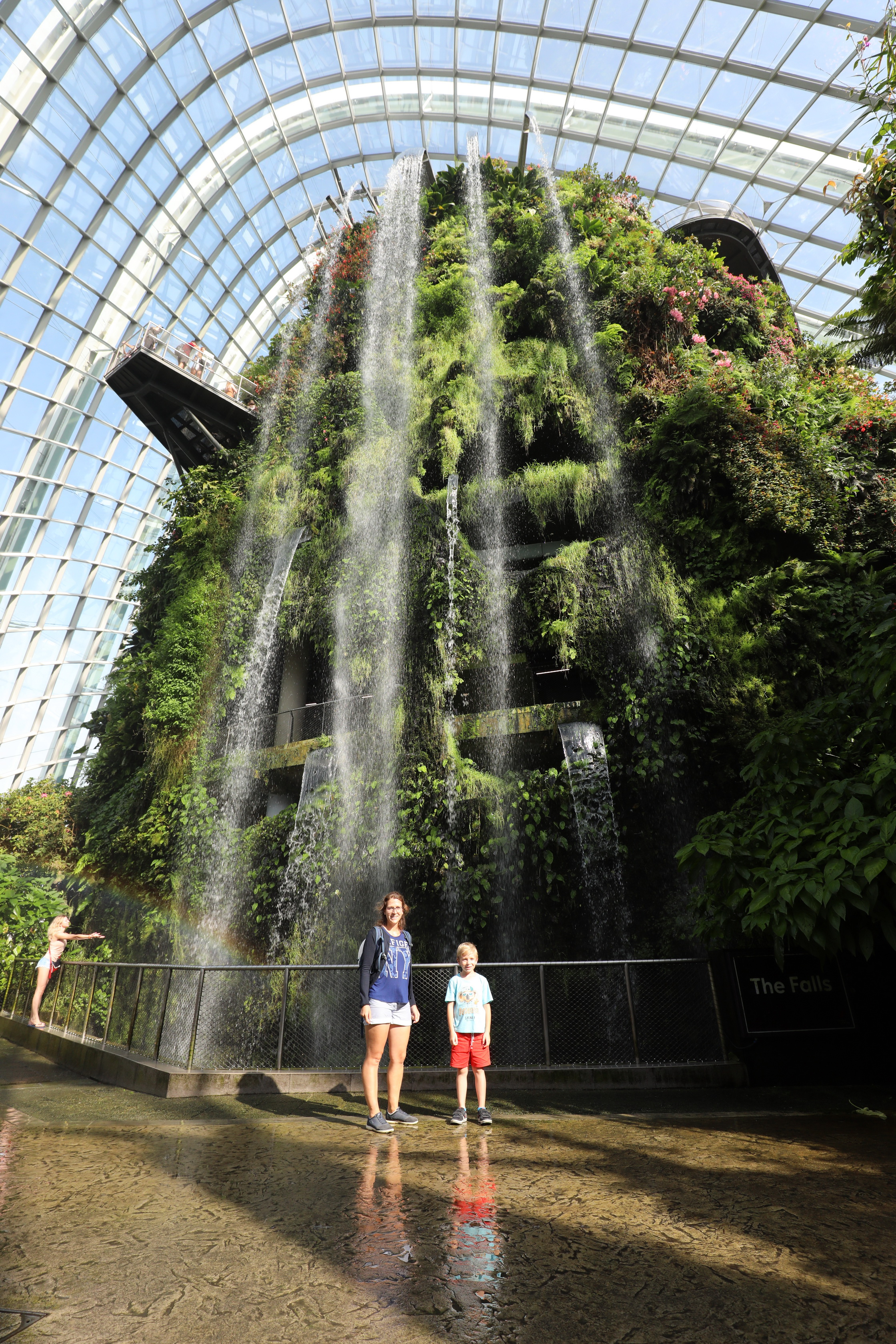 Cloud Forest Waterfall